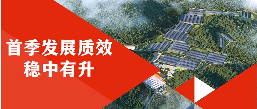 尊龙凯时-人生就是搏!
集团首季发展质效稳中有升
